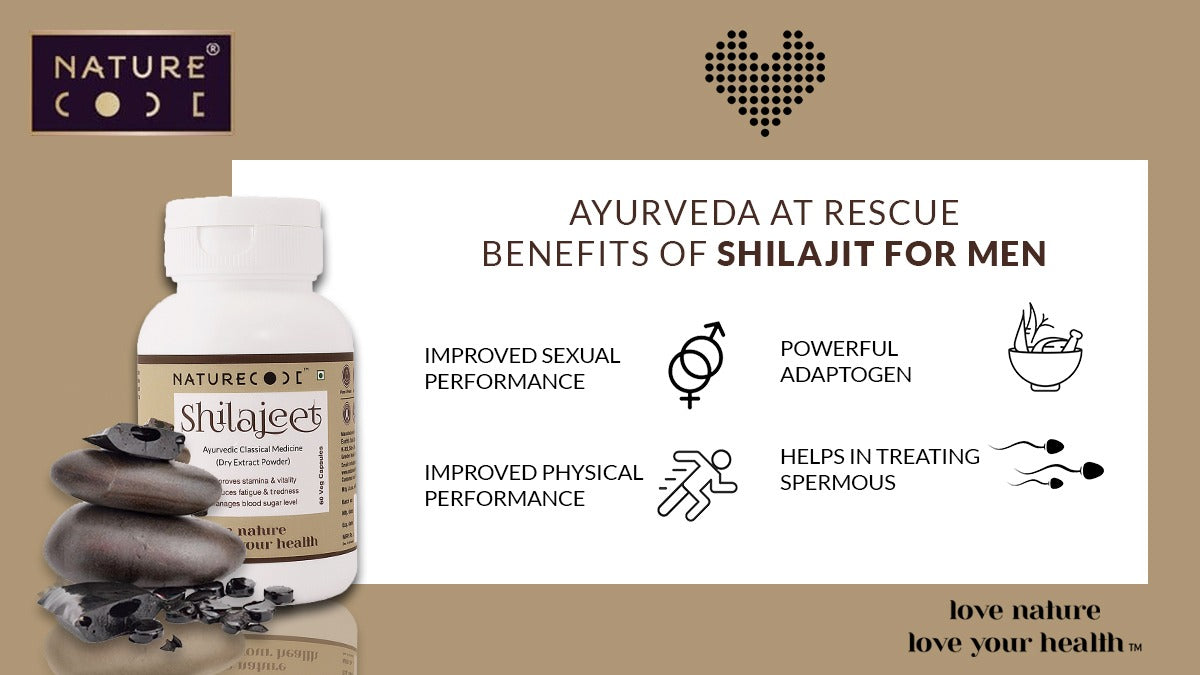 SHILAJIT BENEFITS FOR MEN - AYURVEDA AT RESCUE Naturecodeindia